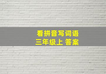 看拼音写词语三年级上 答案